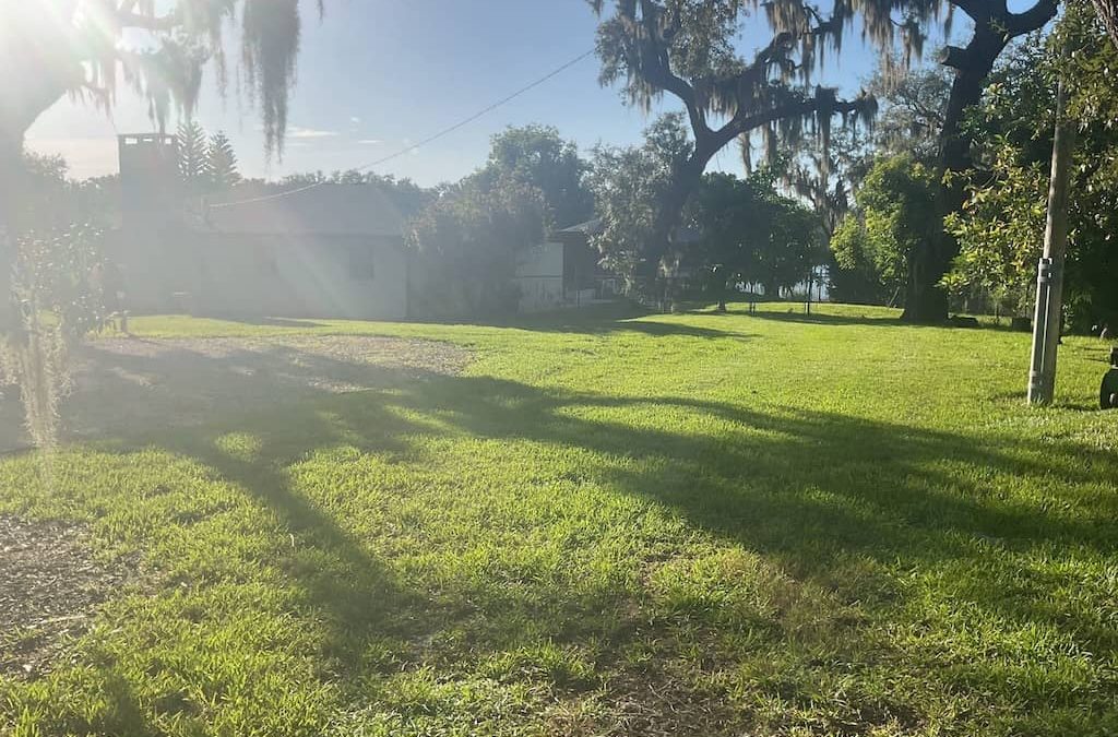 Lawn Services Brandon FL | They trim up the hedges