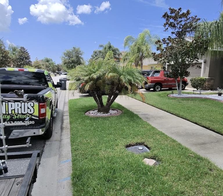 Lawn Services Brandon FL | and make this happen right now