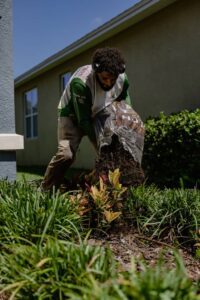 Lawn Services Riverview FL Mulching 1