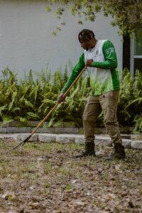 Lawn Services Riverview FL Property Cleanup 1