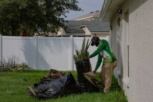 Lawn Services Riverview FL Property Cleanup 3