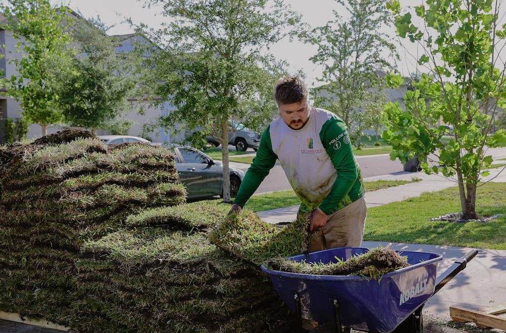 Lawn Services Riverview FL Sod Installation 2