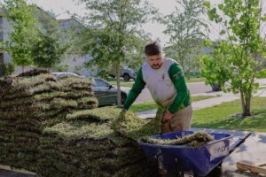 Lawn Services Riverview FL Sod Installation 2