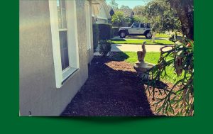 Lawn Services Riverview Fl | Showing You What We Can Do!