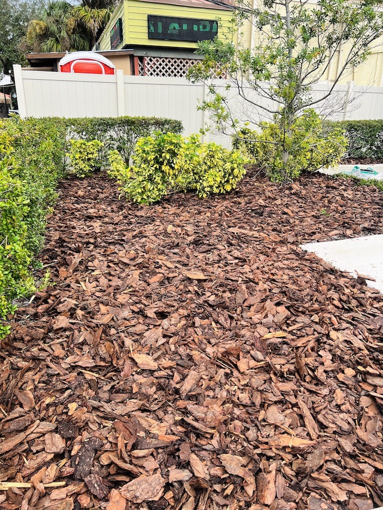 Lawn Care Riverview Florida Services Mulching