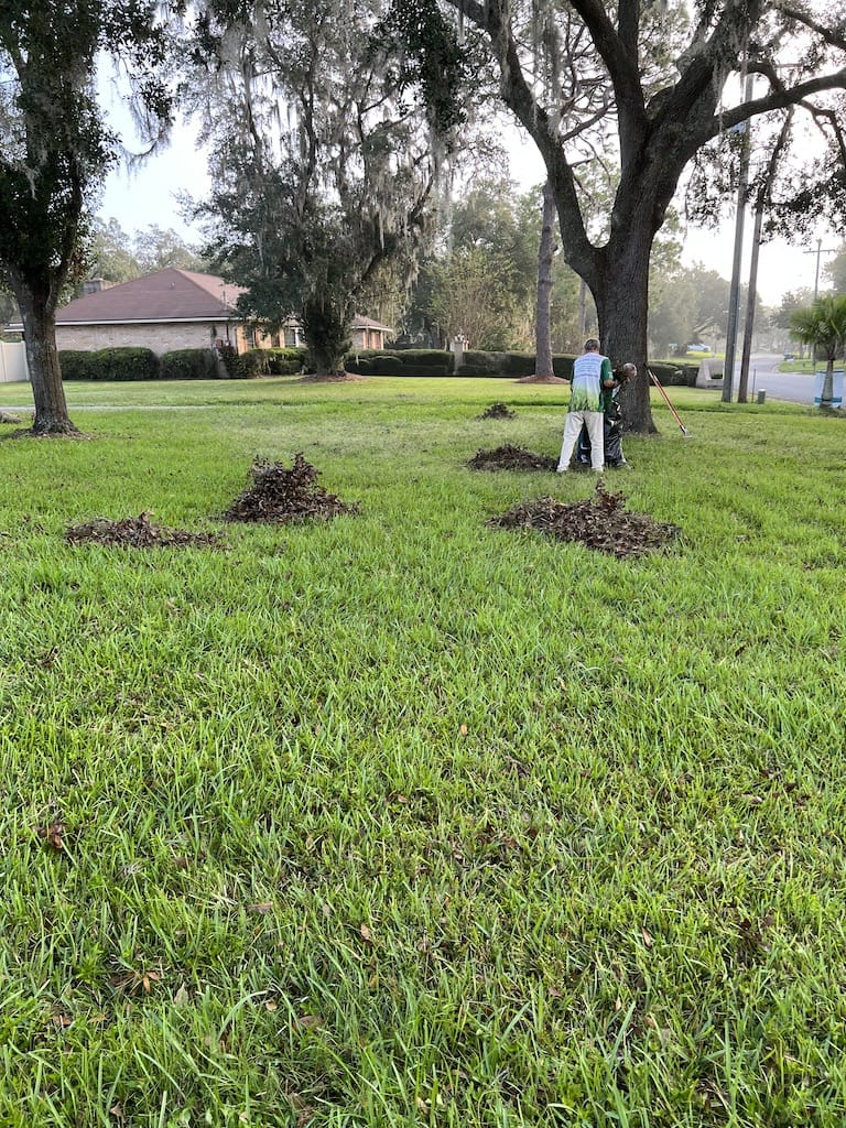 Lawn Care Riverview Florida Services Property Cleanup
