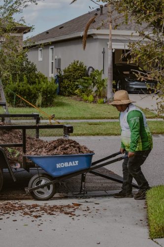 Best-landscaper-Apollo-Beach-Fl