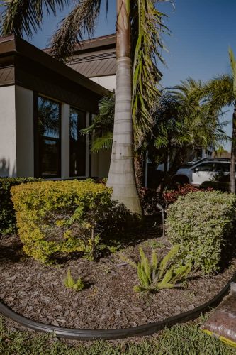 Hedge-trimming-Apollo-Beach-Fl-2