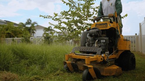 Lawn Services Brandon FL 100