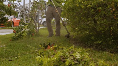 Lawn Services Brandon FL 104