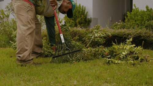Lawn Services Brandon FL 105