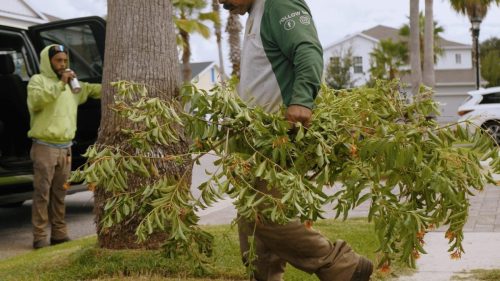 Lawn Services Brandon FL 106