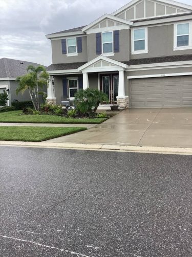 Lawn Services Brandon FL 1079