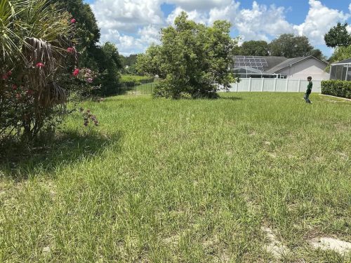 Lawn Services Brandon FL 1080