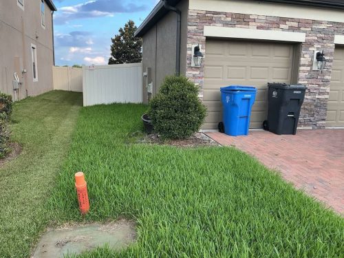 Lawn Services Brandon FL 1084