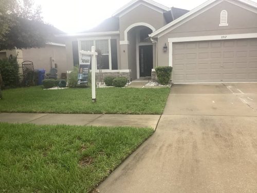 Lawn Services Brandon FL 1085