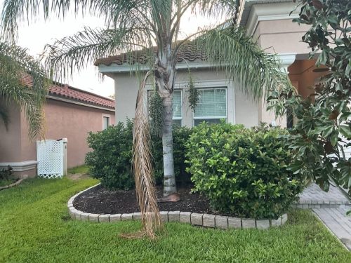 Lawn Services Brandon FL 1086