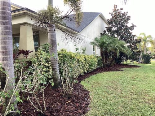 Lawn Services Brandon FL 1091