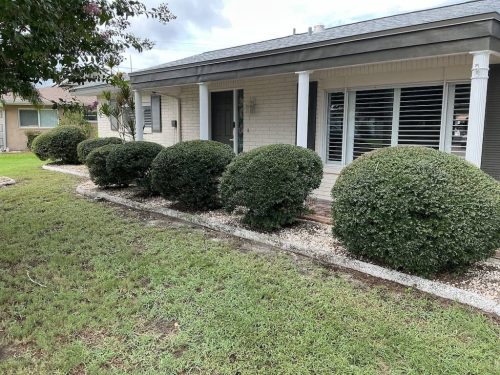Lawn Services Brandon FL 1092