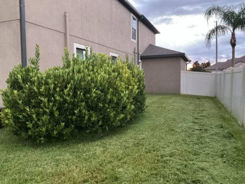 Lawn Services Brandon FL 1094