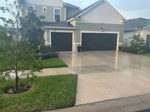 Lawn Services Brandon FL 1096