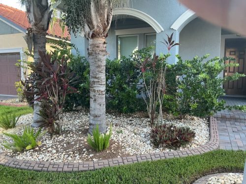Lawn Services Brandon FL 1098
