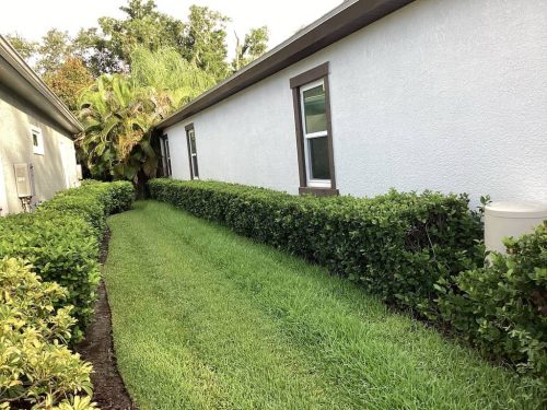 Lawn Services Brandon FL 1099