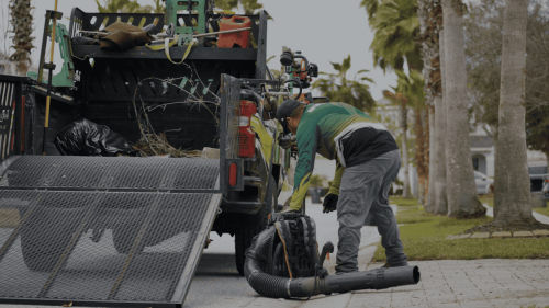 Lawn Services Brandon FL 11