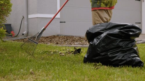 Lawn Services Brandon FL 110