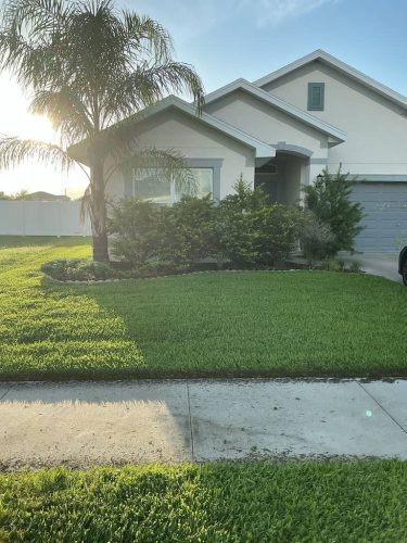 Lawn Services Brandon FL 1101