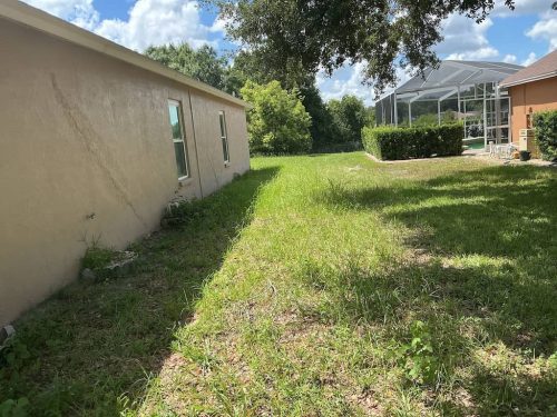 Lawn Services Brandon FL 1102