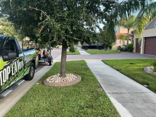 Lawn Services Brandon FL 1104