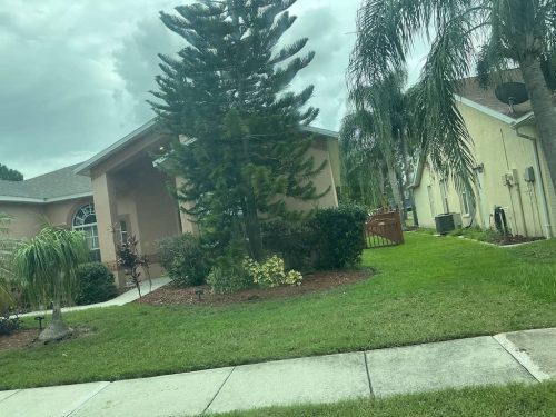 Lawn Services Brandon FL 1115