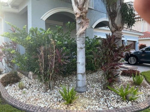 Lawn Services Brandon FL 1117