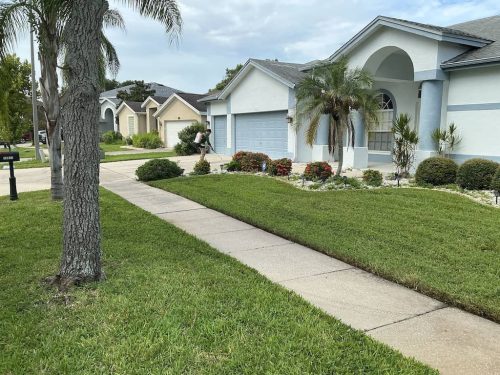 Lawn Services Brandon FL 1124