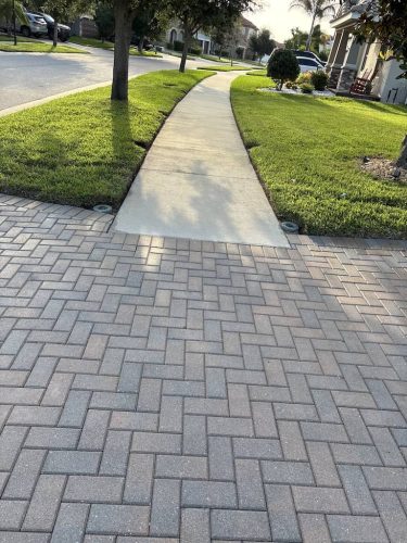 Lawn Services Brandon FL 1127