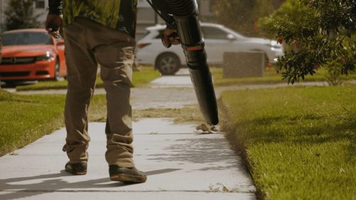 Lawn Services Brandon FL 113