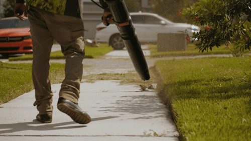 Lawn Services Brandon FL 114