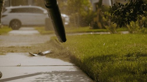 Lawn Services Brandon FL 115