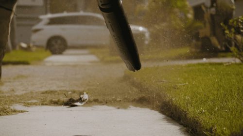 Lawn Services Brandon FL 116