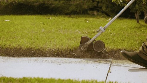 Lawn Services Brandon FL 119
