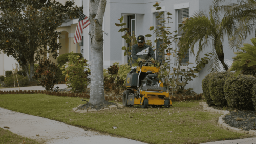 Lawn Services Brandon FL 12