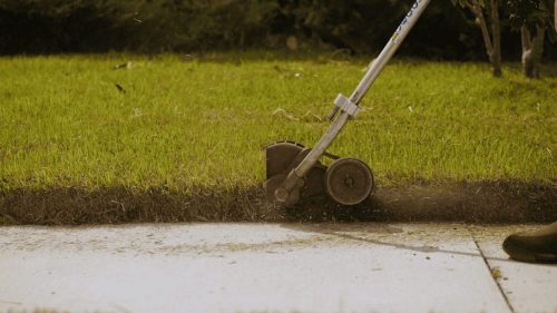 Lawn Services Brandon FL 120
