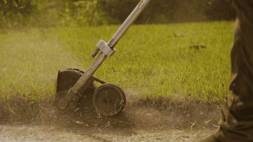 Lawn Services Brandon FL 121