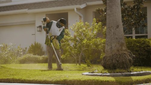 Lawn Services Brandon FL 122