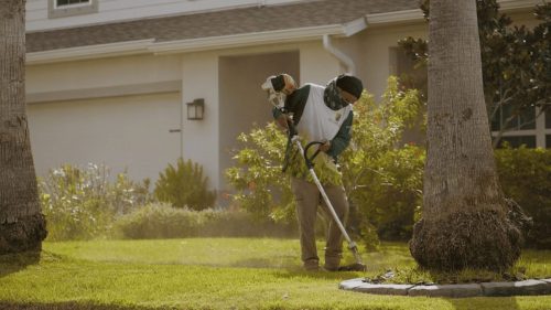 Lawn Services Brandon FL 123