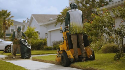 Lawn Services Brandon FL 130