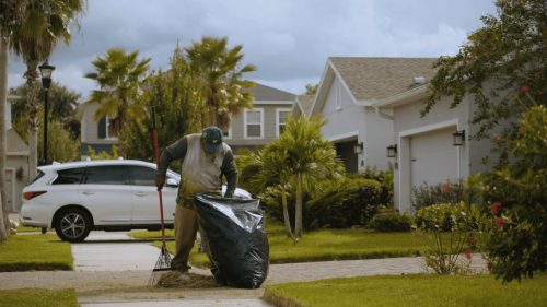 Lawn Services Brandon FL 133