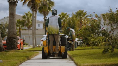 Lawn Services Brandon FL 134