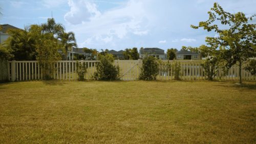 Lawn Services Brandon FL 135
